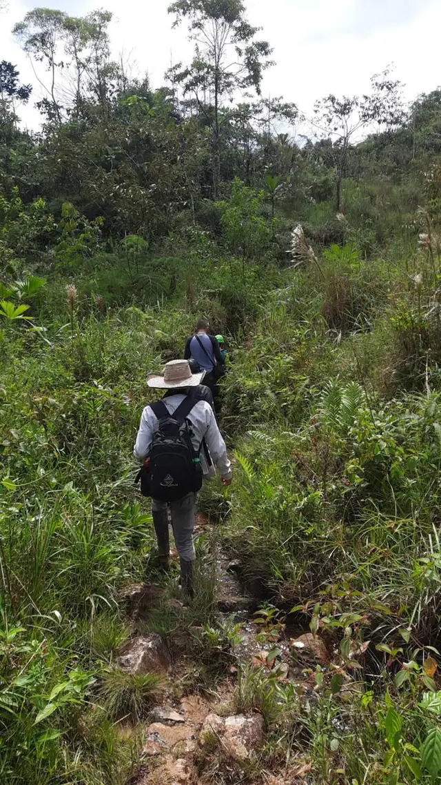 Reconocimiento de campo para Estudio de Impacto Ambiental (EIA) en La Florida, Colombia